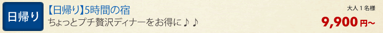 宿泊プラン
