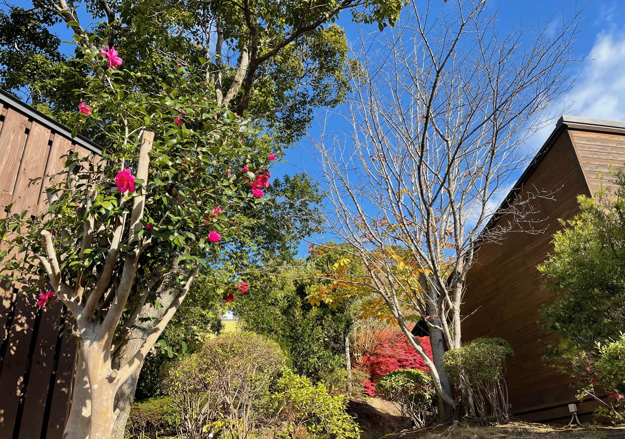 館内施設