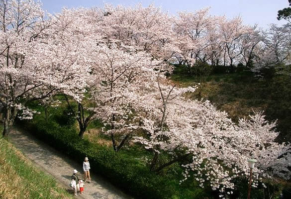 蛇ヶ谷さくらまつり