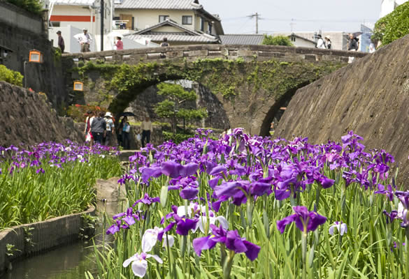 高瀬裏川花しょうぶまつり