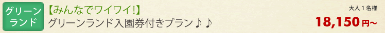 宿泊プラン